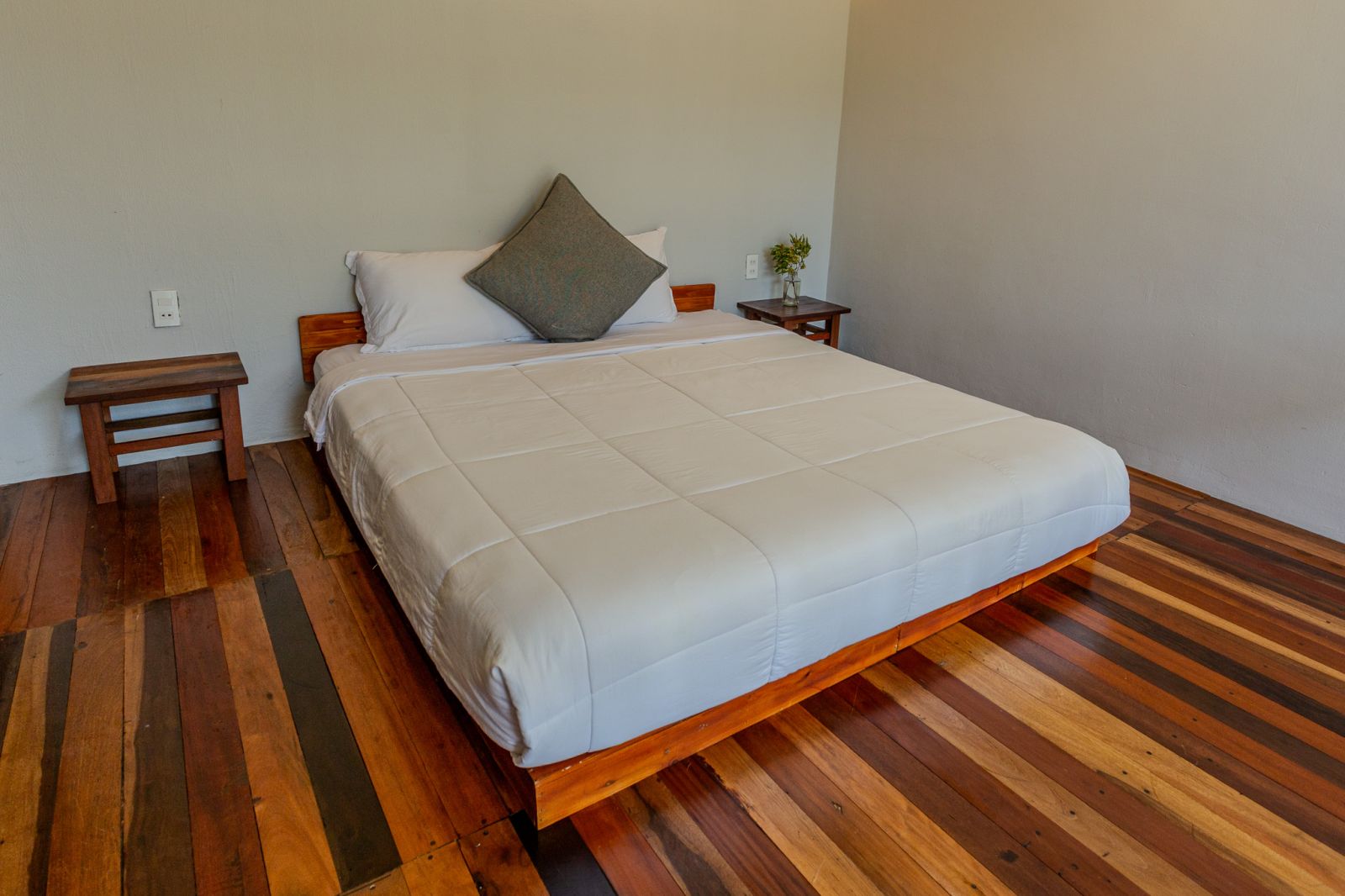 Phòng hướng núi