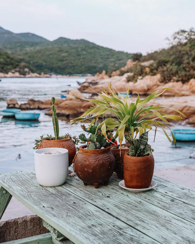 Banner tin tức