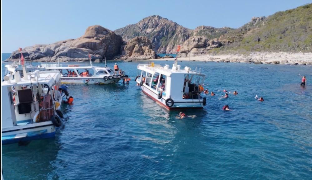 Glass-Bottom Boat & Snorkeling Coral Reef Tour Service